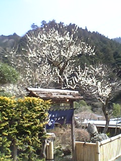 07-03-21_12-38.jpg